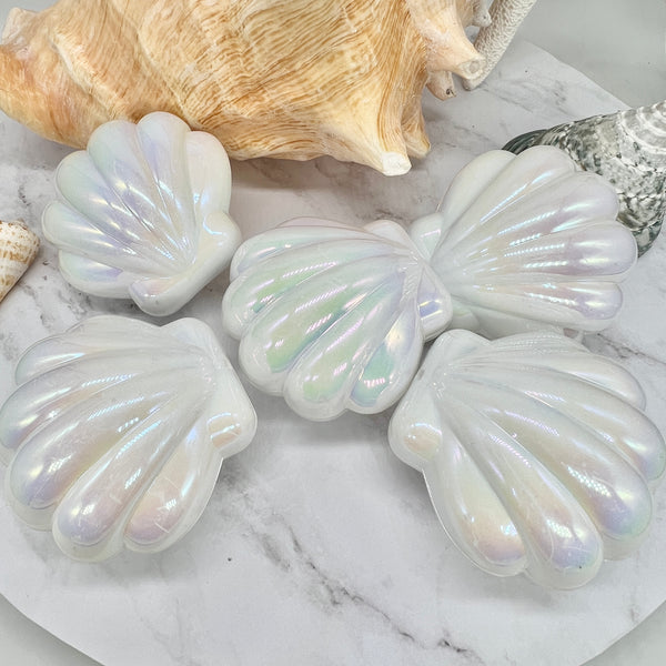Environmentally Friendly Pearl Party Tray of 5 Reveals (not from real oyster)
